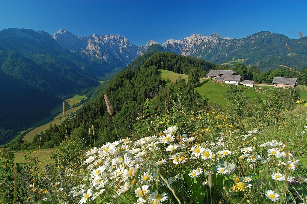Farmhouse Stiftar Solčava Exteriér fotografie